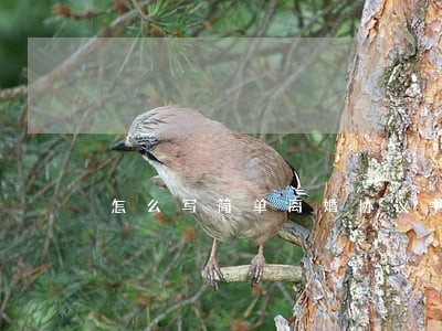 怎么写简单离婚协议书 怎么写简单离婚协议书