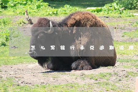 怎么写银行承兑逾期说明 怎么写银行承兑逾期说明