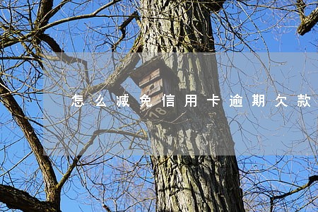 怎么减免信用卡逾期欠款 怎么减免信用卡逾期欠款