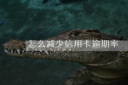 怎么减少信用卡逾期率 怎么减少信用卡逾期率