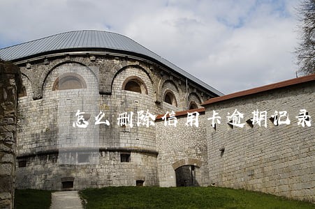 怎么删除信用卡逾期记录查询