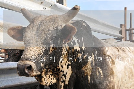 怎么判定网贷逾期被起诉 怎么判定网贷逾期被起诉