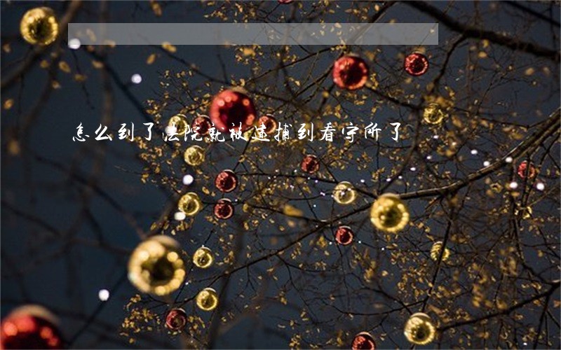 怎么到了法院就被逮捕到看守所了 怎么到了法院就被逮捕到看守所了