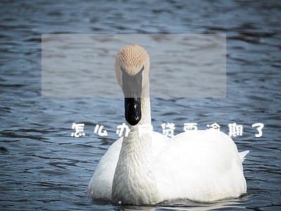 怎么办网贷要逾期了 怎么办网贷要逾期了