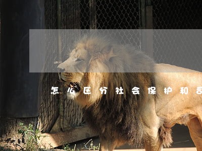 怎么区分社会保护和司法保护 怎么区分社会保护和司法保护
