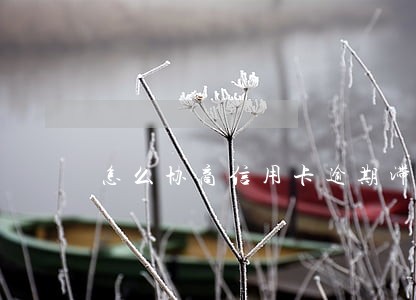怎么协商信用卡逾期滞纳金 怎么协商信用卡逾期滞纳金