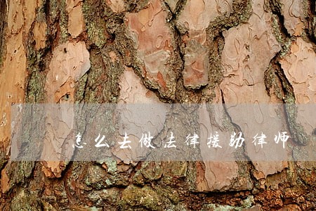 怎么去做法律援助律师 怎么去做法律援助律师