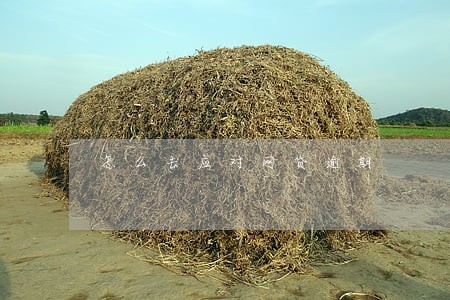 怎么去应对网贷逾期 怎么去应对网贷逾期