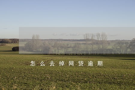 怎么去掉网贷逾期 怎么去掉网贷逾期