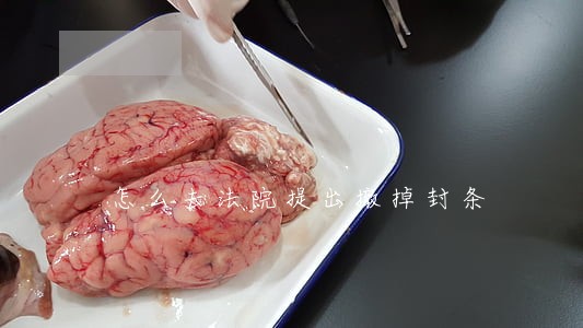 怎么去法院提出撤掉封条 怎么去法院提出撤掉封条
