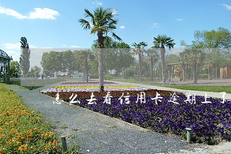 怎么去看信用卡逾期上了征信 怎么去看信用卡逾期上了征信