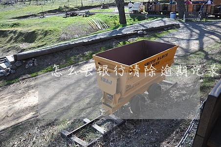 怎么去银行清除逾期记录 怎么去银行清除逾期记录