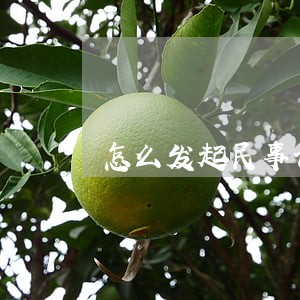 怎么发起民事诉讼 怎么发起民事诉讼