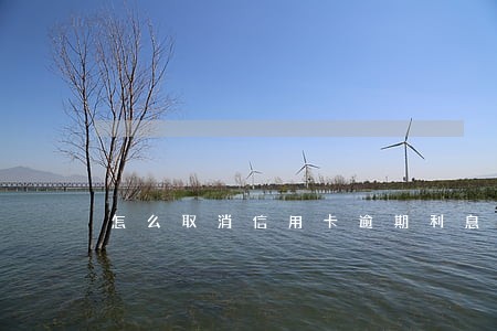 怎么取消信用卡逾期利息 怎么取消信用卡逾期利息