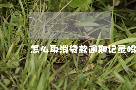 怎么取消贷款逾期记录吗