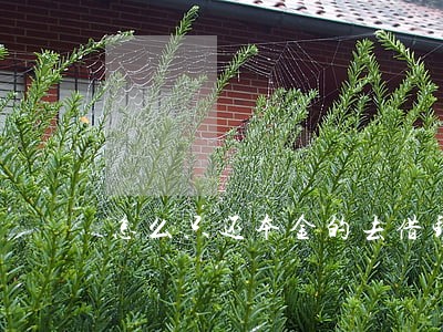 怎么只还本金的去借钱 怎么只还本金的去借钱