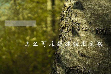 怎么可以处理信用逾期 怎么可以处理信用逾期