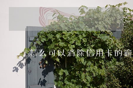 怎么可以消除信用卡的逾期 怎么可以消除信用卡的逾期