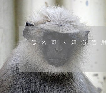 怎么可以知道信用卡逾期时间 怎么可以知道信用卡逾期时间