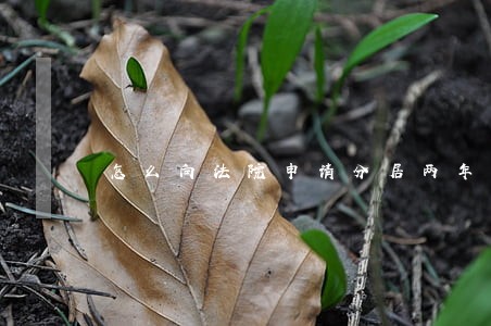 怎么向法院申请分居两年自动离婚 怎么向法院申请分居两年自动离婚