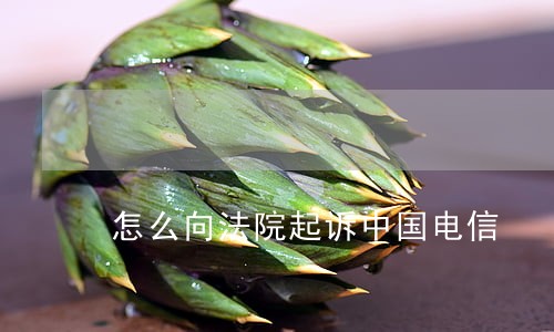 怎么向法院起诉中国电信 怎么向法院起诉中国电信