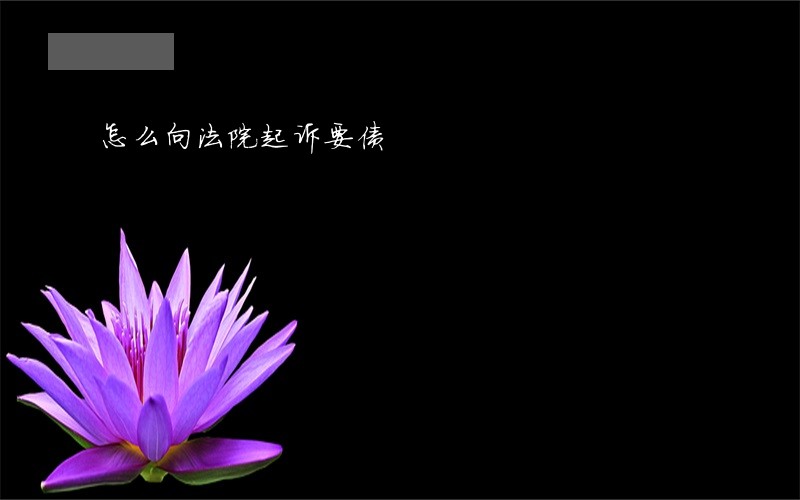 怎么向法院起诉要债 怎么向法院起诉要债