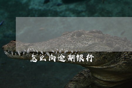 怎么向逾期银行 怎么向逾期银行