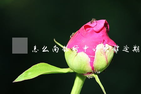 怎么向银行申请撤销逾期