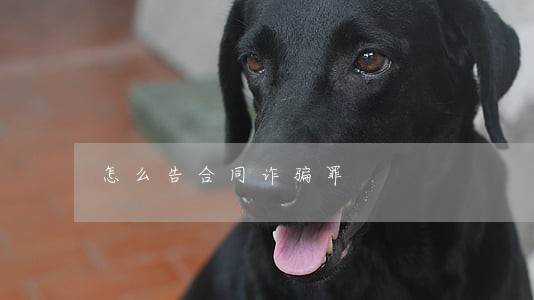 怎么告合同诈骗罪 怎么告合同诈骗罪