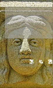 怎么告诉老公信用卡逾期了