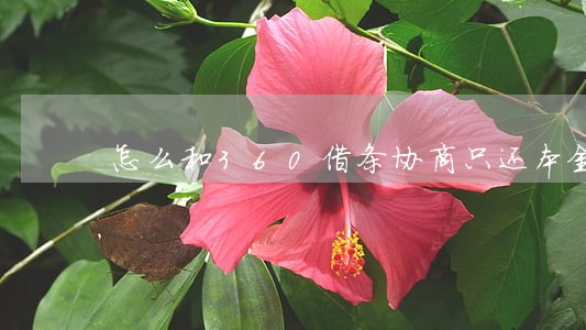 怎么和360借条协商只还本金 怎么和360借条协商只还本金