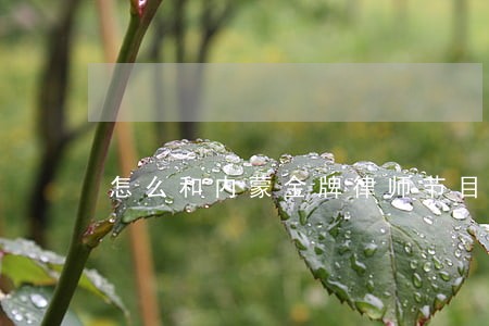 怎么和内蒙金牌律师节目联系 怎么和内蒙金牌律师节目联系