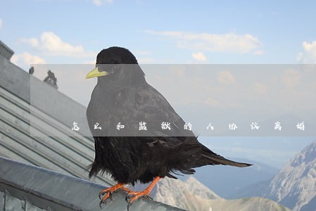 怎么和监狱的人协议离婚