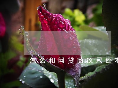 怎么和网贷商议只还本金