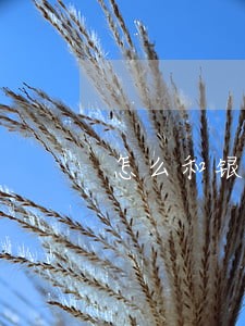 怎么和银行商量只还本金部分 怎么和银行商量只还本金部分