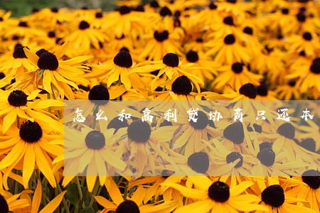 怎么和高利贷协商只还本金 怎么和高利贷协商只还本金