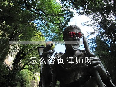 怎么咨询律师呀 怎么咨询律师呀