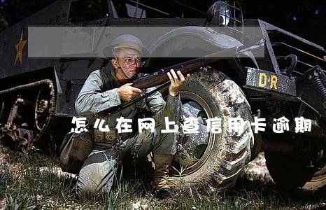 怎么在网上查信用卡逾期 怎么在网上查信用卡逾期