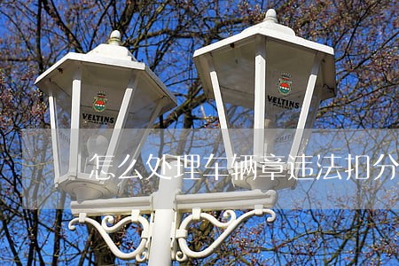 怎么处理车辆章违法扣分 怎么处理车辆章违法扣分