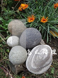 怎么处理逾期信用 怎么处理逾期信用