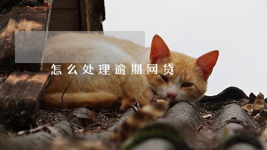 怎么处理逾期网贷 怎么处理逾期网贷