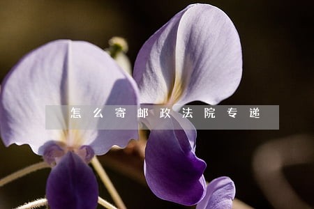 怎么寄邮政法院专递 怎么寄邮政法院专递