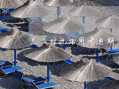 怎么对抗信用卡逾期