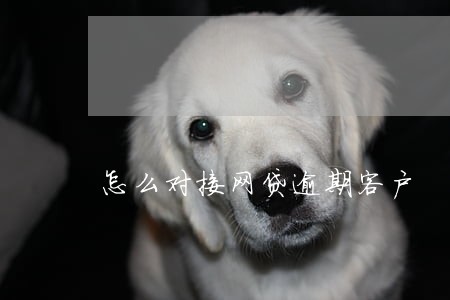 怎么对接网贷逾期客户 怎么对接网贷逾期客户