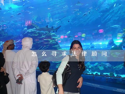 怎么寻求法律顾问 怎么寻求法律顾问