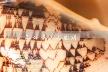 怎么将信用逾期