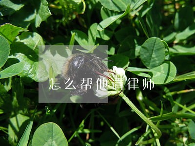 怎么帮他请律师