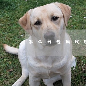 怎么开专利代理所 怎么开专利代理所