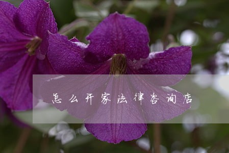 怎么开家法律咨询店 怎么开家法律咨询店