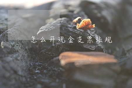 怎么开现金支票法规 怎么开现金支票法规
